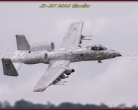 1GLOVELIER 0518
